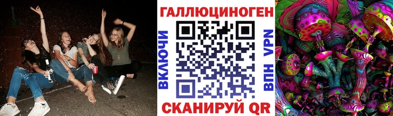 Галлюциногенные грибы GOLDEN TEACHER  Купить  Новоуральск 